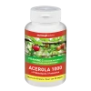 Ineldea Acerola 1000 Vitamine C D’Origine Naturelle + Prébiotiques 2 Ineldea Acerola 1000 Vitamine C D’Origine Naturelle + Prébiotiques -Magasin TROTEC acerola 1000 vitamine c dorigine naturelle prebiotiques 9681012 25079198 1140x1140