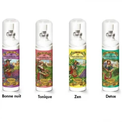 Ineldea BrumAroma Purficateur D'Ambiance (Detox)