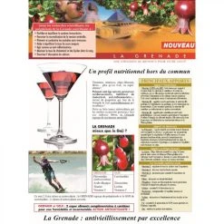 Ineldea Jus De Grenade 9 Ineldea Jus De Grenade -Magasin TROTEC jus de grenade 9681206 25079704 1140x1140