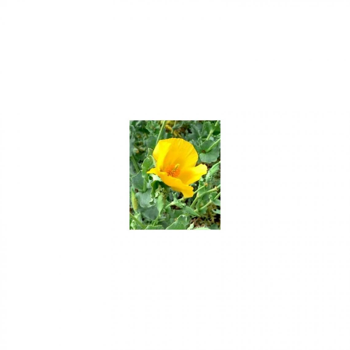 Claude Bell Perfect Menton Soin Anti-Double Menton Femme 3 Claude Bell Perfect Menton Soin Anti-Double Menton Femme