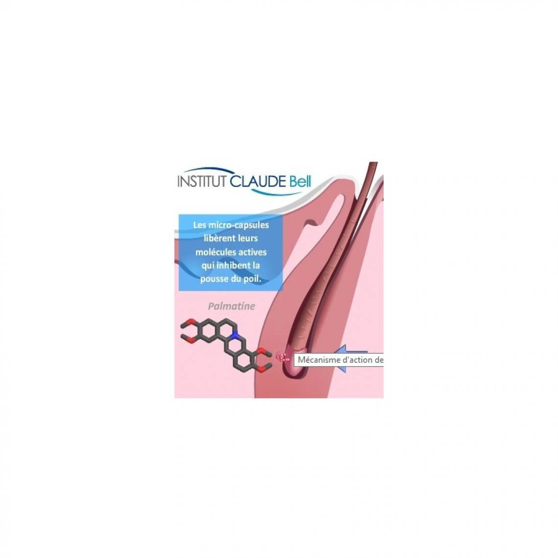 Claude Bell Shave Réducteur De Pilosité Pour Barbe Et Crâne 3 Claude Bell Shave Réducteur De Pilosité Pour Barbe Et Crâne